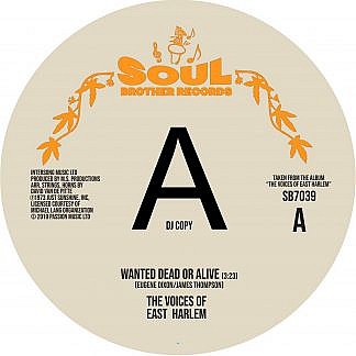 Wanted Dead Or Alive/Can You Feel It (Dj Copy)